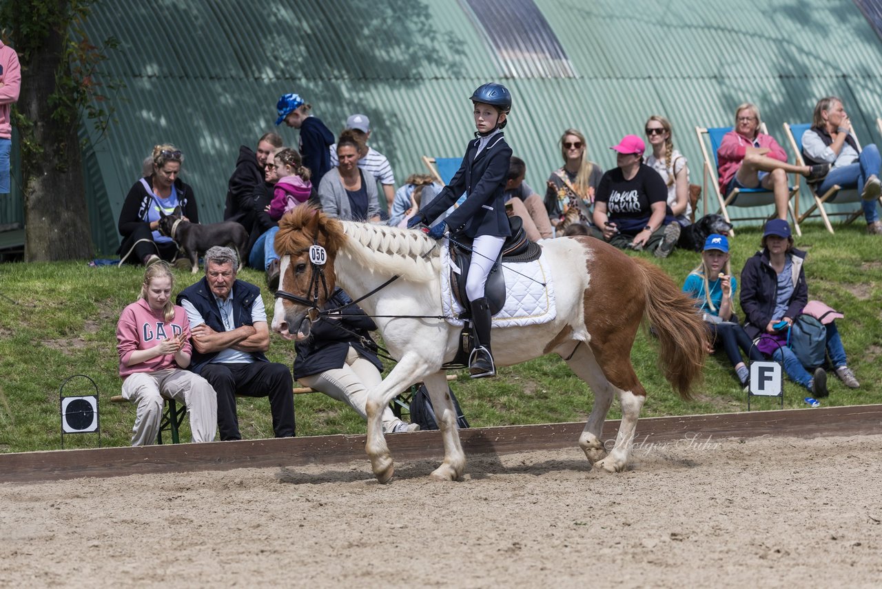 Bild 585 - Pony Akademie Turnier